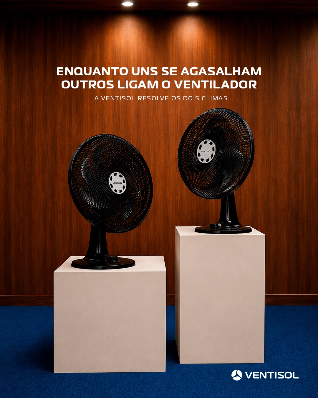 Campanha Ventisol